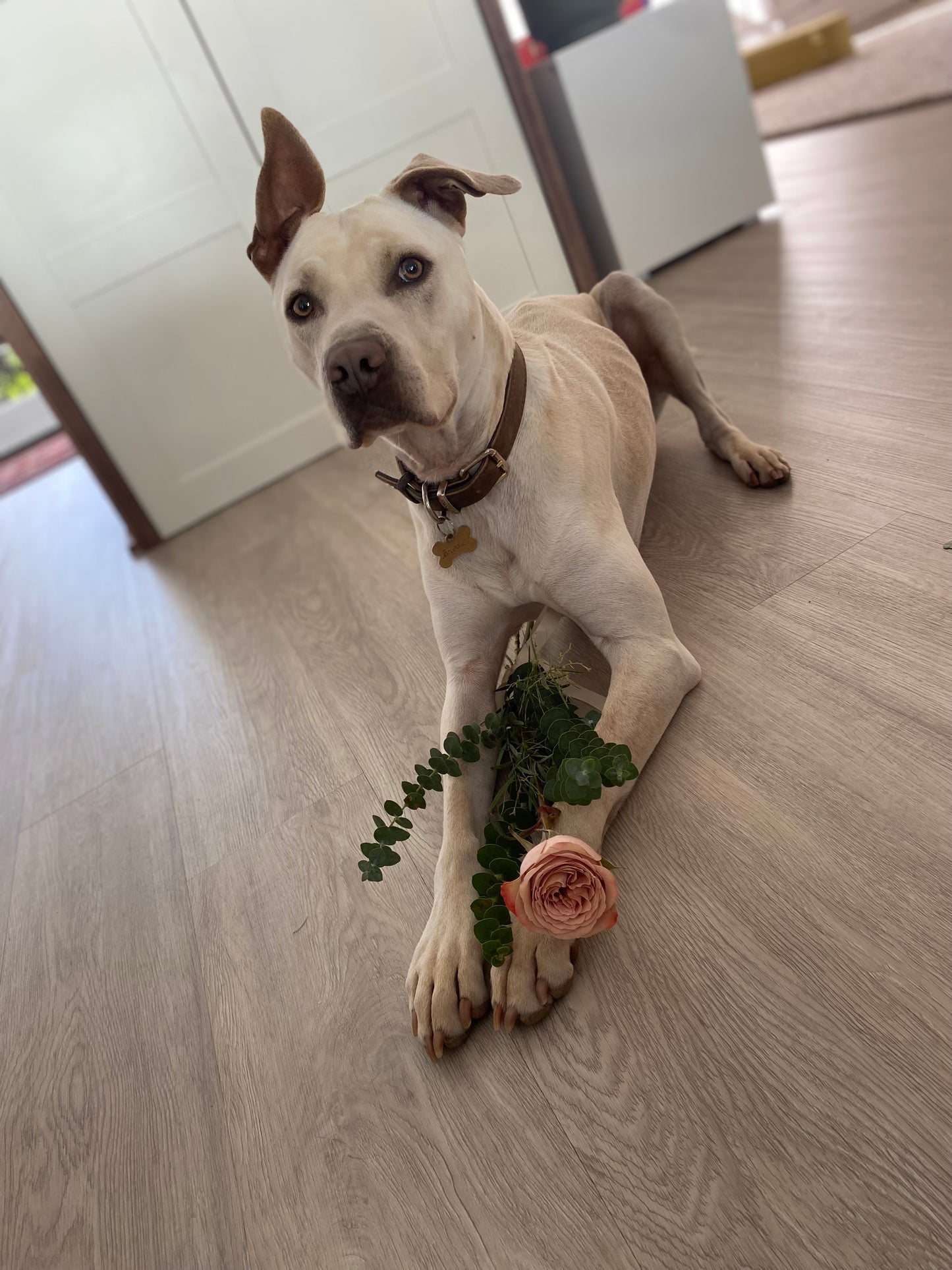 Token of Love
